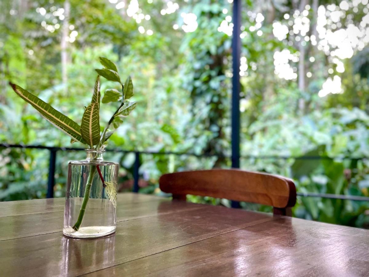 Casa Eden - Modern Peaceful Jungle Apartments Cocles Exterior foto