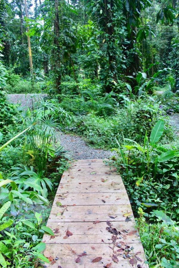Casa Eden - Modern Peaceful Jungle Apartments Cocles Exterior foto